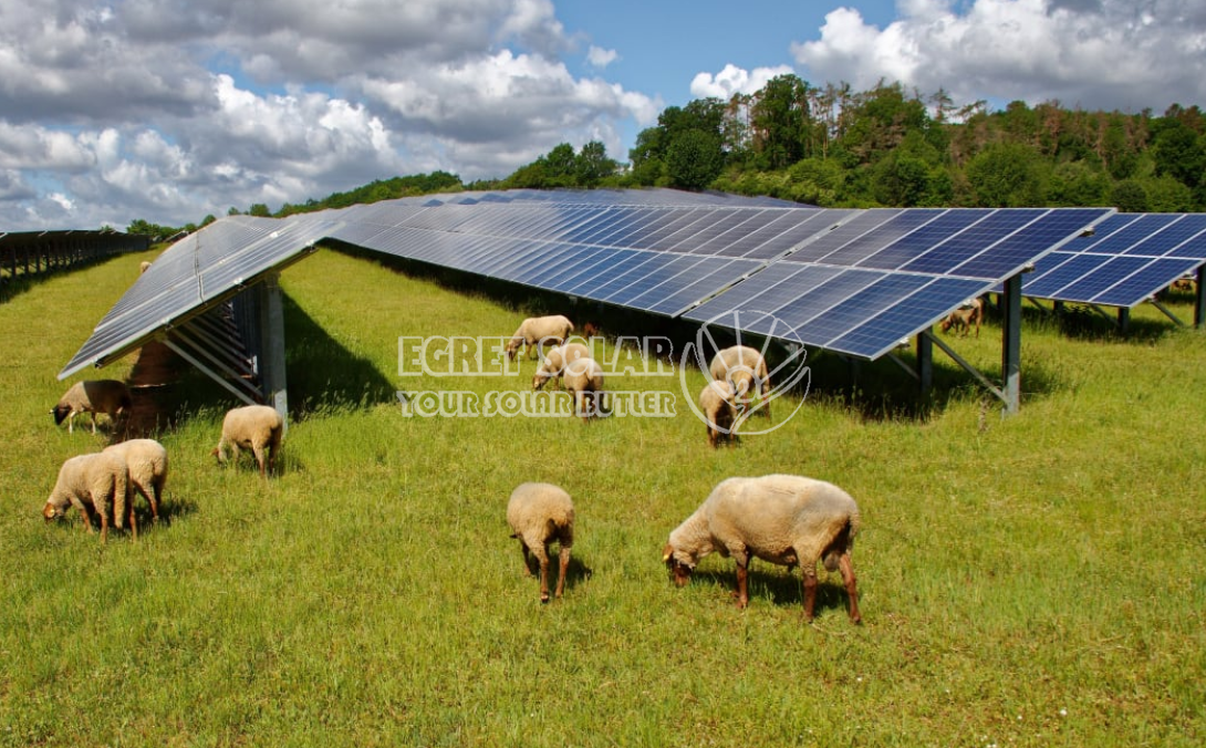 Stratégiai együttműködés az Egret Solar New Energy Technology és a Smart Concept Energy között